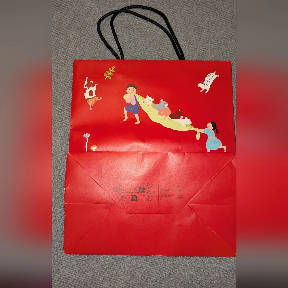 LOEWE Shopping Bag Shopper Suna Fujita Japan Limited Rare Red GUC